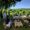 PIC NIC TRA I VIGNETI