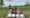 PICNIC TRA I VIGNETI – TUTTI I WEEKEND