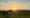 Wine Experience – da sabato 5 Settembre
